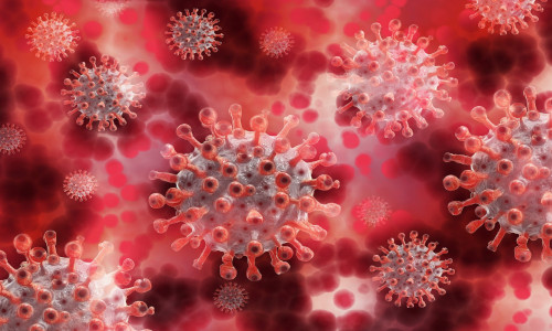 Schutz vor der Infektion durch das Corona-Virus